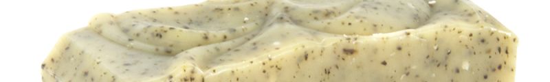 Adulte